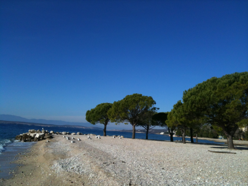 Apartments  Crikvenica