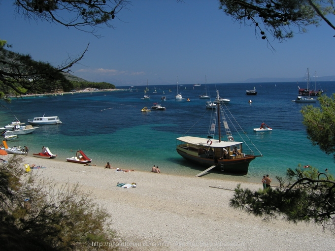 Apartments  Crikvenica